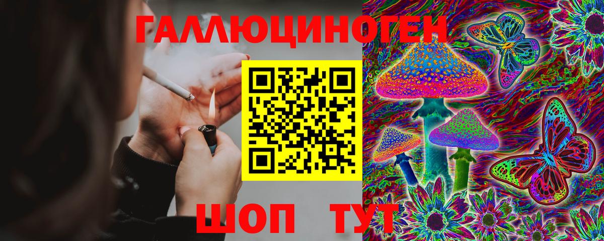 Галлюциногенные грибы GOLDEN TEACHER Выборг