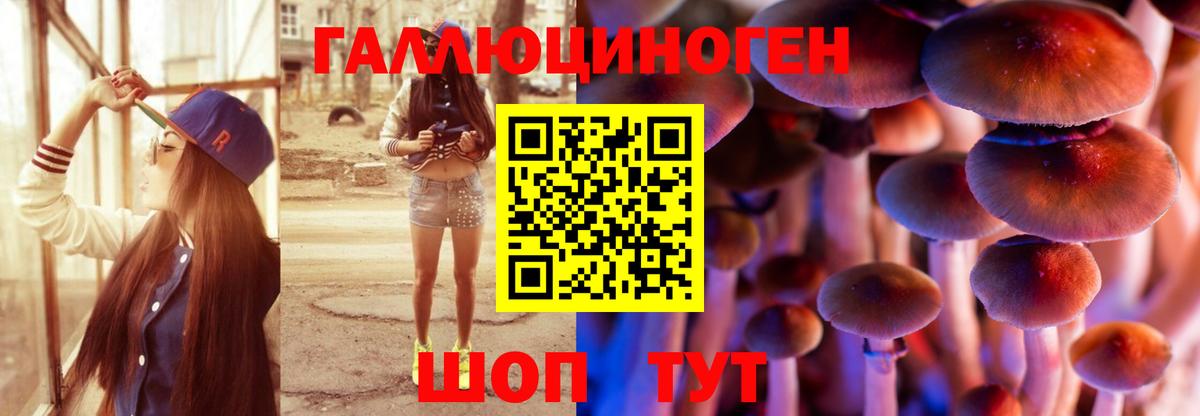Псилоцибиновые грибы GOLDEN TEACHER  Вход с VPN  Псилоцибиновые грибы GOLDEN TEACHER  Выборг 